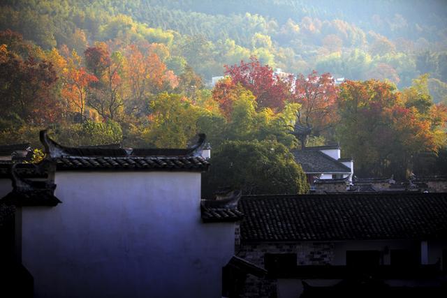 最绚丽的秋天在皖南，离宏村2公里远的塔川村，引无数艺术家前来