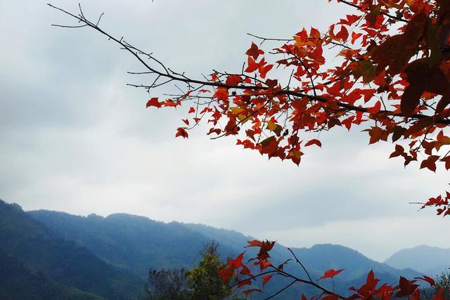 最绚丽的秋天在皖南，离宏村2公里远的塔川村，引无数艺术家前来