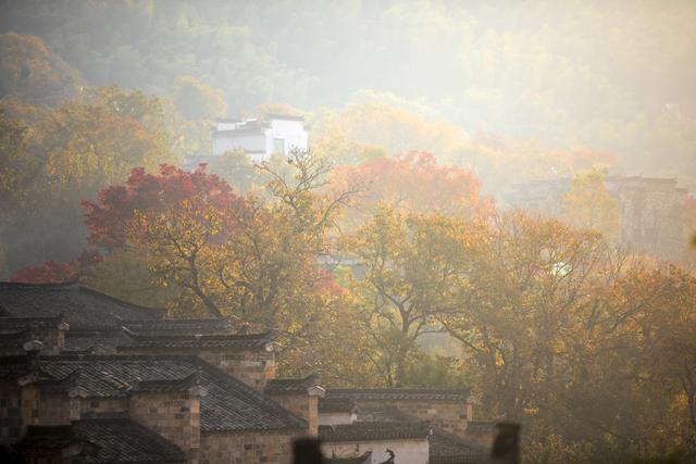 最绚丽的秋天在皖南，离宏村2公里远的塔川村，引无数艺术家前来