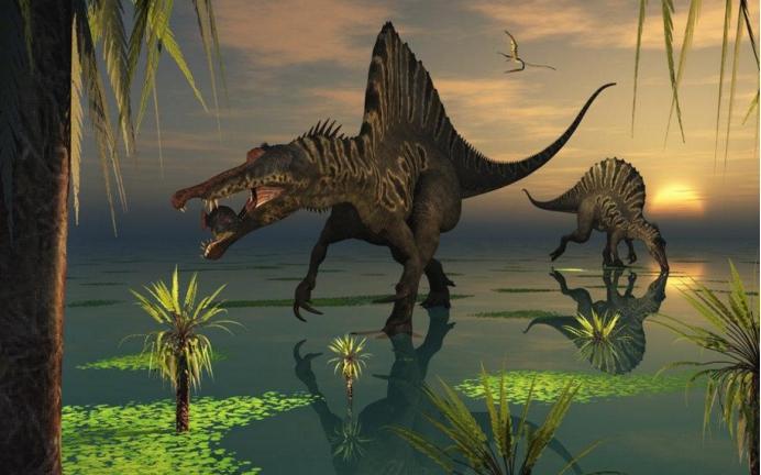 非洲发现恐龙化石，刷新了人类对恐龙的认知