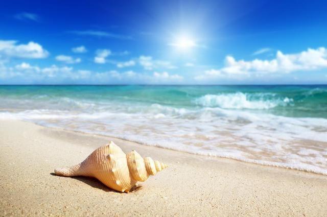 去海滩你还是只捡贝壳吗，快来青岛海滩上寻找神奇宝物吧！