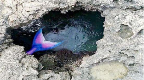 夏威夷这个“洞口”里真有美人鱼？小伙一探究竟，结果不淡定了