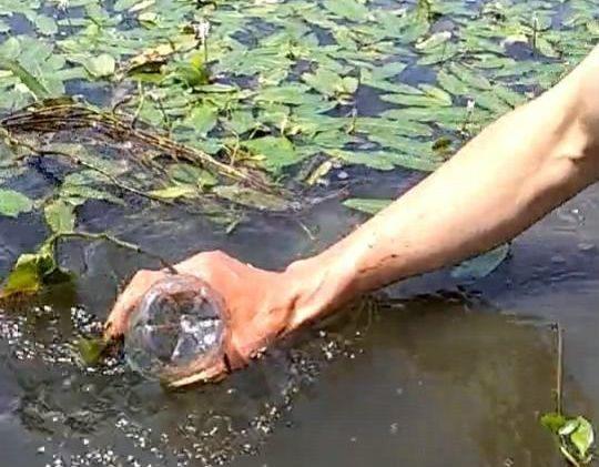 男子想捡湖面的塑料瓶，却一把没拉动，让人感到意外