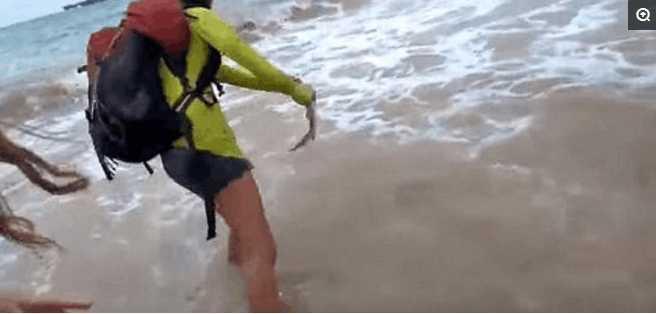 女游客抓鲨鱼自拍显摆被咬，最后因触犯动物保护条款被罚款四万
