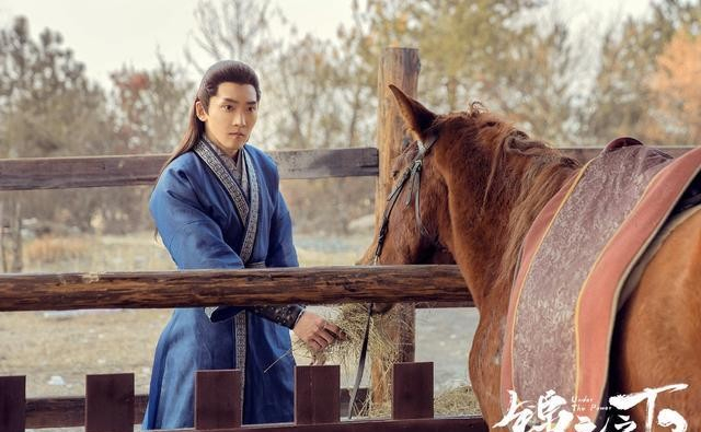 任嘉伦的两部电视剧《大唐荣耀》和《锦衣之下》，你更喜欢哪个？