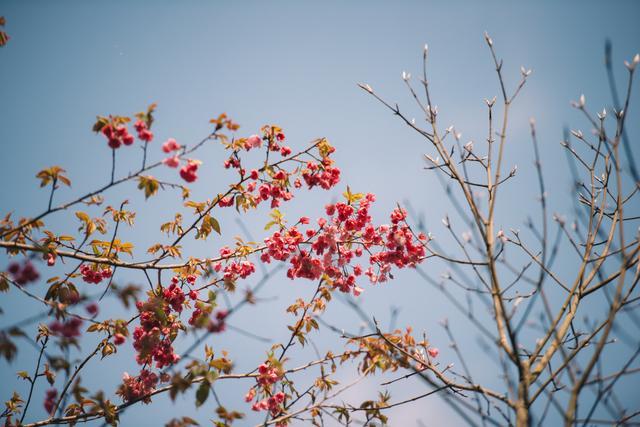 云南超小众旅游景点，必须当天返回，冬暖夏凉是避暑胜地