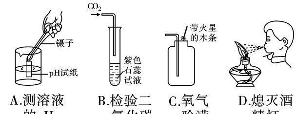 实验基本操作中考真题训练，看看你能答对几道？