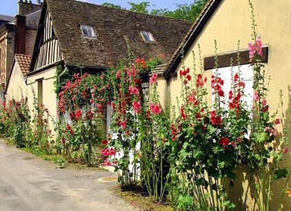 法国吉维尼小镇，这里有一座莫奈花园，诗情画意当如此