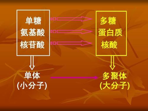 乙肝NAs与TAF设计初衷，竞争进入病毒DNA链，靶向全周期较前沿