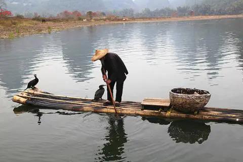 用老方法捕鱼艰难度日，如今河上卖艺，每天收入不低
