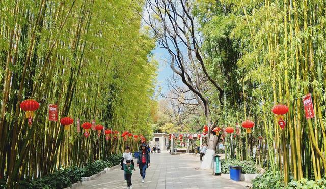云南最美的的免费公园，精致小巧犹如江南庭园，周末过去游人如织
