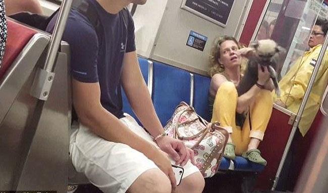 女子带宠物狗坐地铁，接下来她对狗的一个动作，让人愤怒不已！
