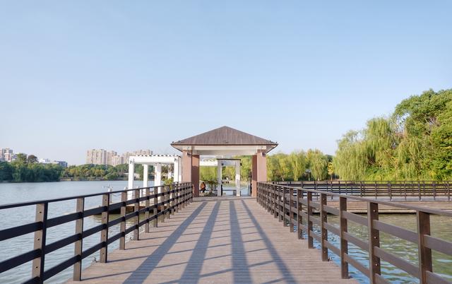 这个春天去不了武汉东湖，幸而浙江也有个东湖，就在杭州西湖边上