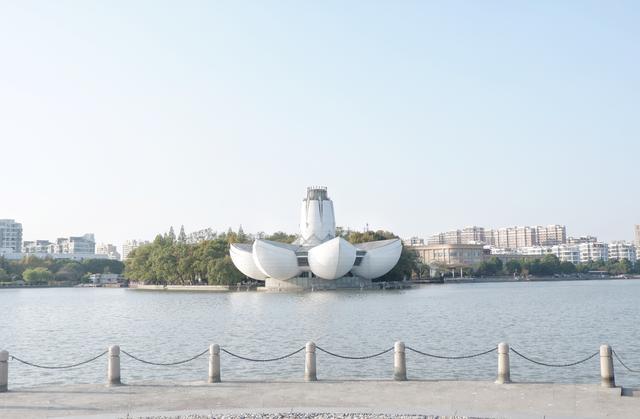 这个春天去不了武汉东湖，幸而浙江也有个东湖，就在杭州西湖边上