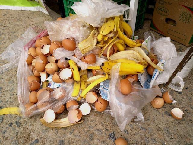 家里的鸡蛋壳攒一堆，碾碎了发酵成花肥，营养丰富养啥花都行