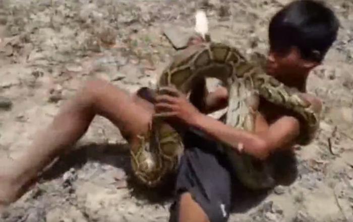 男孩野外土坑里抓到一条大蟒蛇结果被缠绕，妹妹看到后舍命救哥