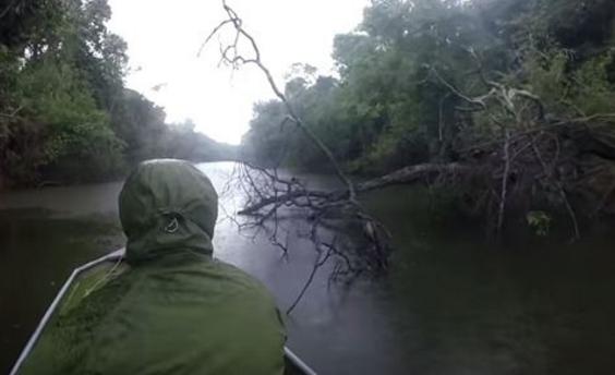 亚马逊河有只大型水怪，现身后探险家表示从没见过