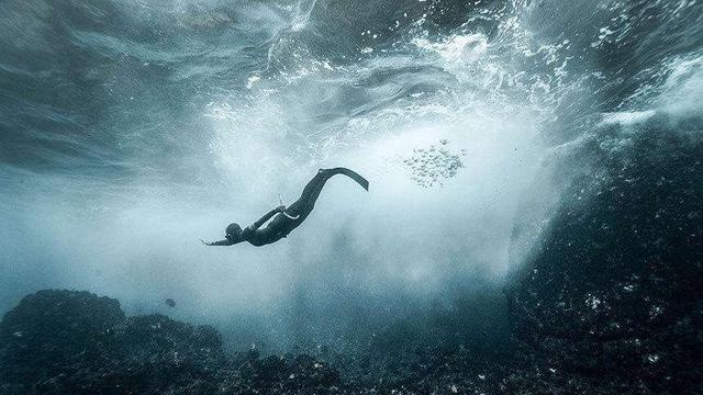 龙会不会一直藏身在深海，所以直到现在都没有被人发现？