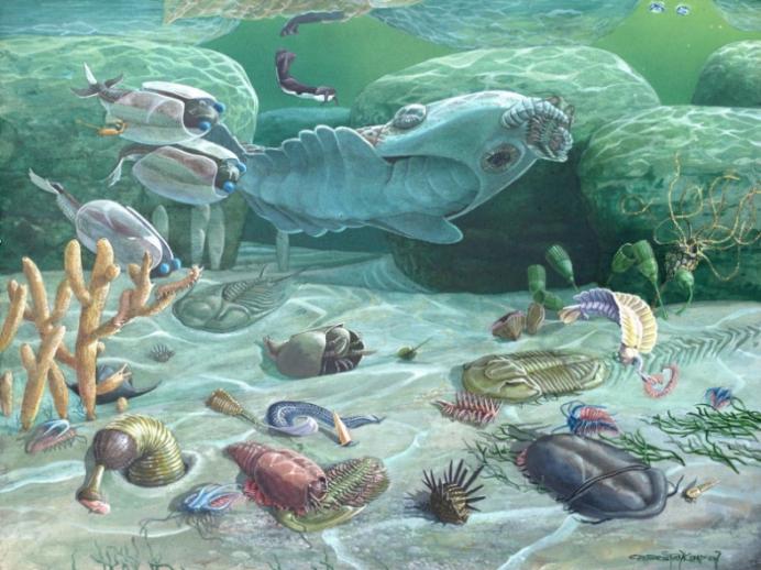 约5亿年前的怪异生物，头上长有触角，或能揭开寒武纪时期的谜团