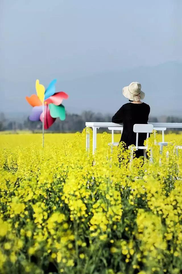 腾冲今年最后一波油菜花海，太美了