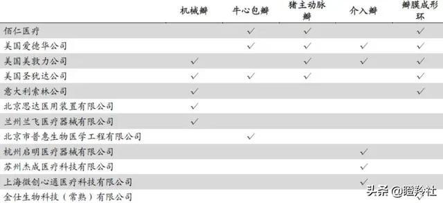 心脏瓣膜赛道深度投研笔记：微创心通将在年底前反超启明医疗？