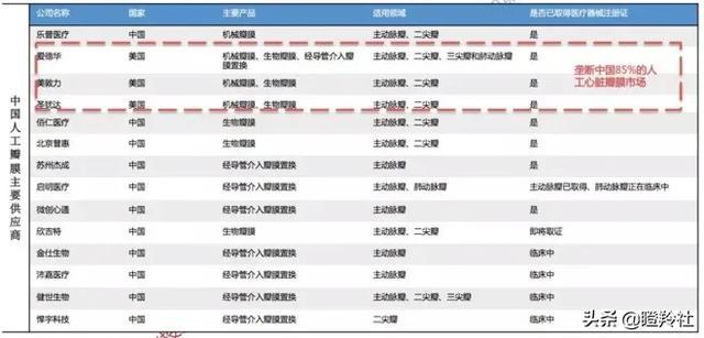 心脏瓣膜赛道深度投研笔记：微创心通将在年底前反超启明医疗？