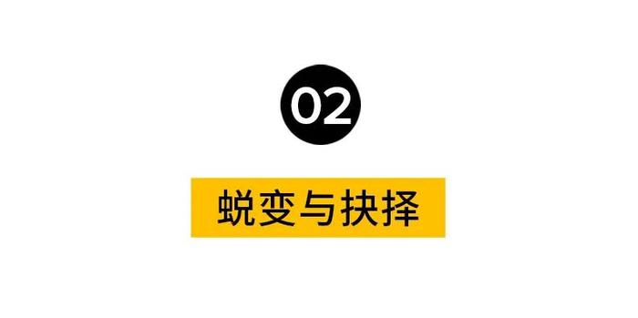 26岁新疆余文乐！开挂的人生是何种体验？明明可以靠脸他偏不！