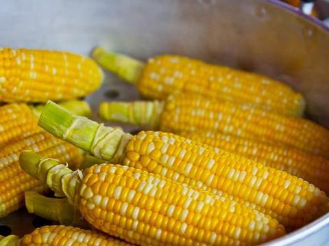 储备玉米被曝存质量问题？为啥粮食储备对于国家那么重要？