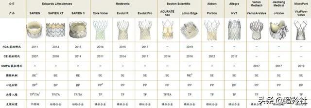 心脏瓣膜赛道深度投研笔记：微创心通将在年底前反超启明医疗？