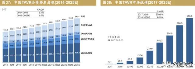 心脏瓣膜赛道深度投研笔记：微创心通将在年底前反超启明医疗？