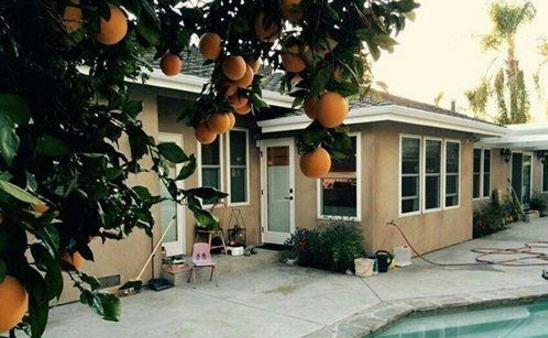 归亚蕾美国豪宅曝光：室外有游泳池有果树