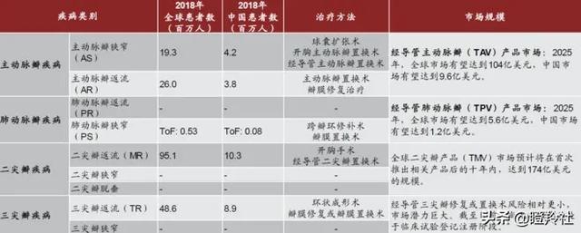 心脏瓣膜赛道深度投研笔记：微创心通将在年底前反超启明医疗？