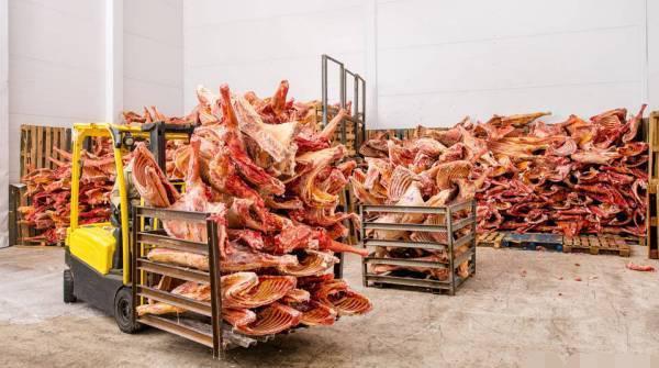 猪价最高已达42.5元，明日再投放2万吨储备肉，能否给猪市降温？