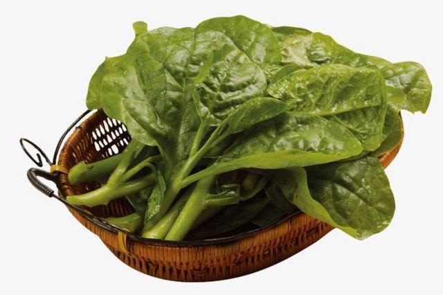 滑菜是一种蔬菜的名字，它还被叫做木耳菜、豆腐菜、滑溜溜，等等