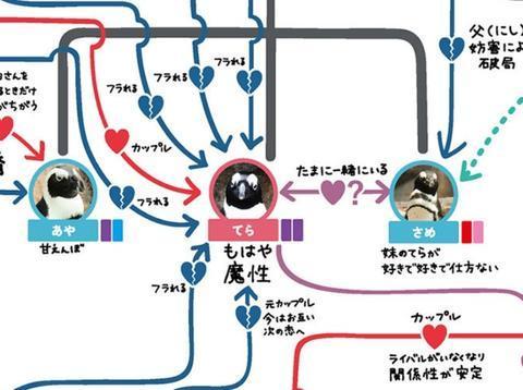 企鹅其实很不正经！三角恋、父子恋反目成仇，电视剧都不敢这么拍