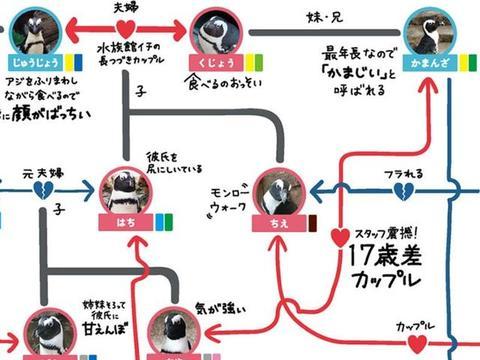 企鹅其实很不正经！三角恋、父子恋反目成仇，电视剧都不敢这么拍