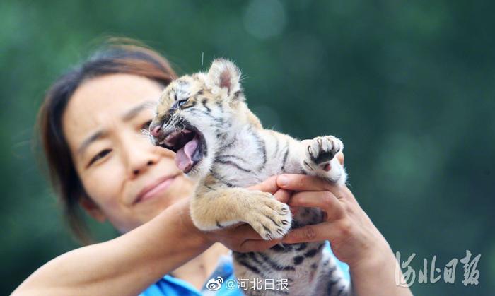 秦皇岛野生动物园7月15日全新开园 新降生小动物等你来“庆生”