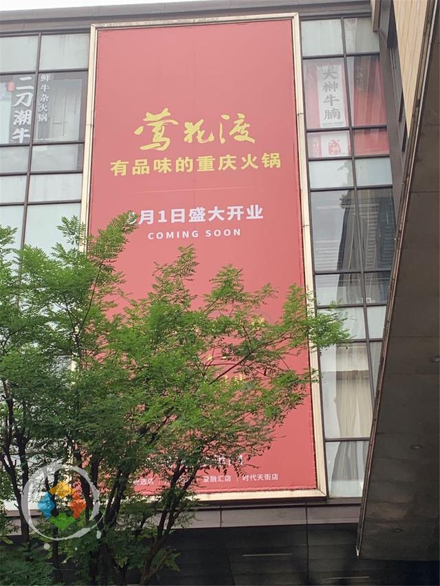 重庆火锅网红当道，档次越来越高，本地人直呼：吃不起了！