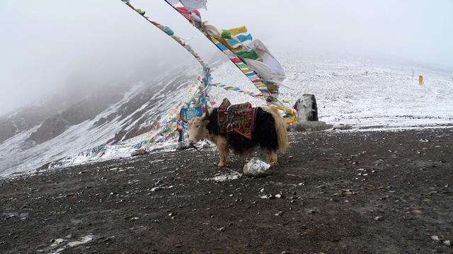 西藏旅游不佛系，全球最好咸水湖被称为天湖，美景背后有故事