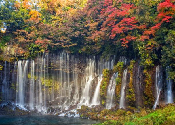 秋天就是要到轻井泽赏枫！轻井泽枫叶景点＆推荐商家设施