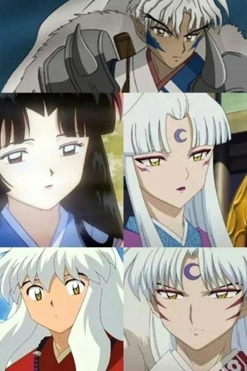 犬夜叉，犬大将的妻子凌月仙姬，为什么能容忍十六夜活着？