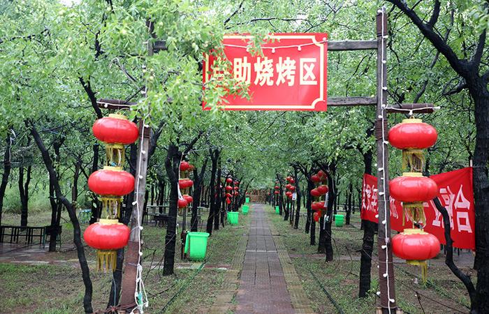 游大荔美景 品大荔美食 我为美丽大荔代言