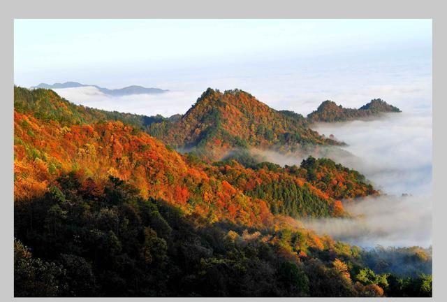 韩少功：重返雪峰山