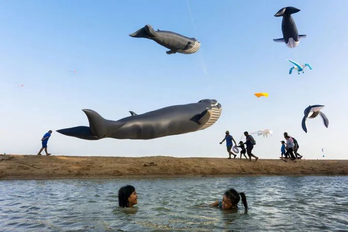 意料之外，却又十分巧合的趣味摄影，让人忍俊不禁