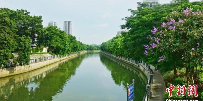 探秘广州河流治污秘籍