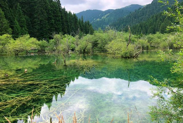 人少景美！不输“九寨沟”，瀑布彩池样样齐全，网友：私家花园