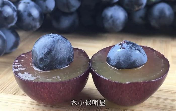 蓝莓和蓝莓葡萄，傻傻分不清楚，蓝莓葡萄卖的贵也是情有可原