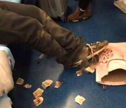 乞丐在地铁上清点收入，丝毫不在意别人眼光，结果还扔的满地都是