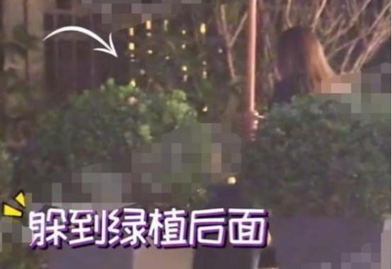 孟佳被曝深夜躲绿植后吸烟，助理在一旁打掩护，“借烟消愁”？