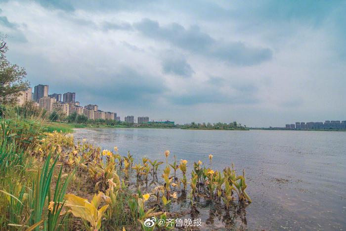 济南登高远眺！在盛夏感受“华不注山”云雾润蒸